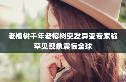 老榕树千年老榕树突发异变专家称罕见现象震惊全球