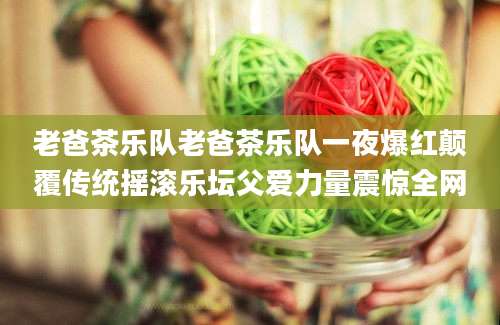老爸茶乐队老爸茶乐队一夜爆红颠覆传统摇滚乐坛父爱力量震惊全网