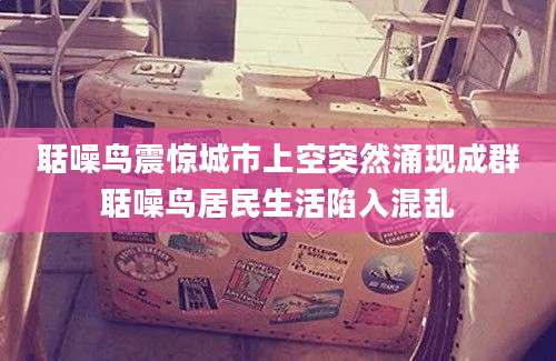 聒噪鸟震惊城市上空突然涌现成群聒噪鸟居民生活陷入混乱