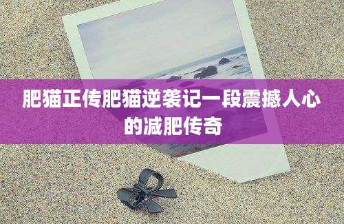 肥猫正传肥猫逆袭记一段震撼人心的减肥传奇